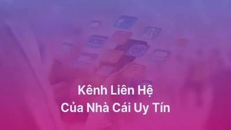 Các phương thức liên hệ SanClub được nhiều người dùng